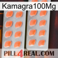 Kamagra100Mg 27